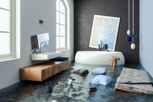 Best Professional water damage repair  in Gloucester Courthouse, VA