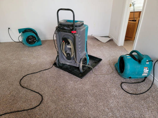 Best 24-hour water damage restoration  in Gloucester Courthouse, VA