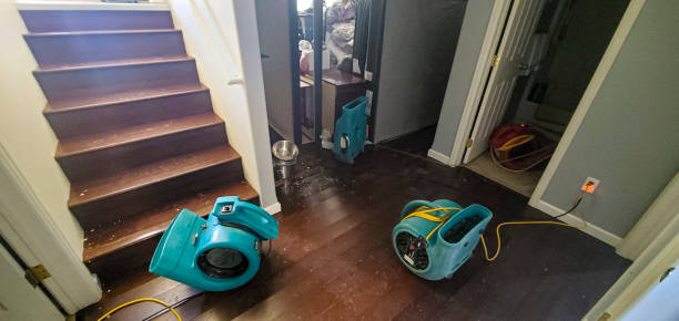 Best Water damage contractors near me  in Gloucester Courthouse, VA