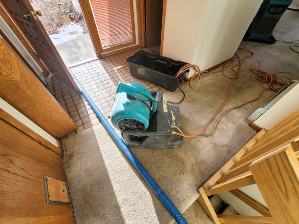 Reliable VA Water damage restoration Solutions