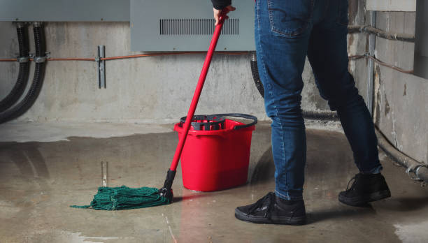 Best Sewage cleanup and water damage restoration  in Gloucester Courthouse, VA