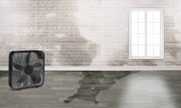 Best Emergency water damage restoration  in Gloucester Courthouse, VA