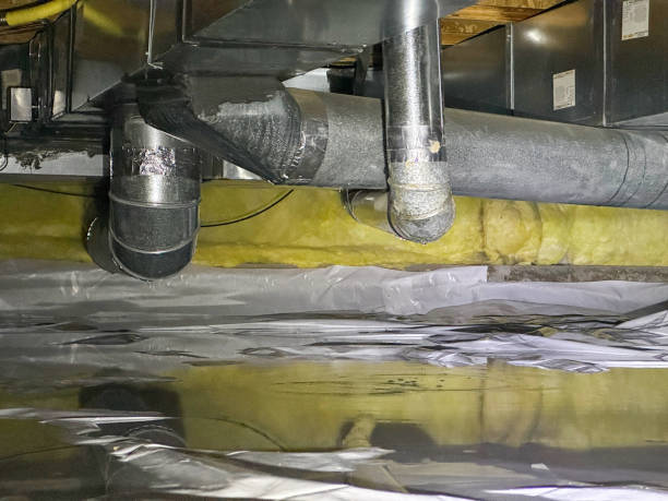 Best Water damage restoration process  in Gloucester Courthouse, VA