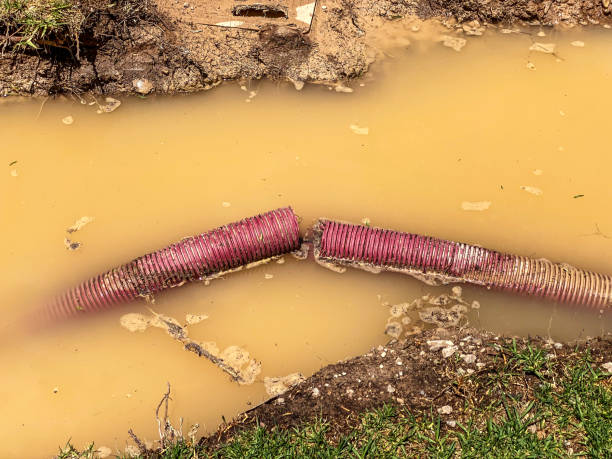 Best Professional water damage repair  in Gloucester Courthouse, VA